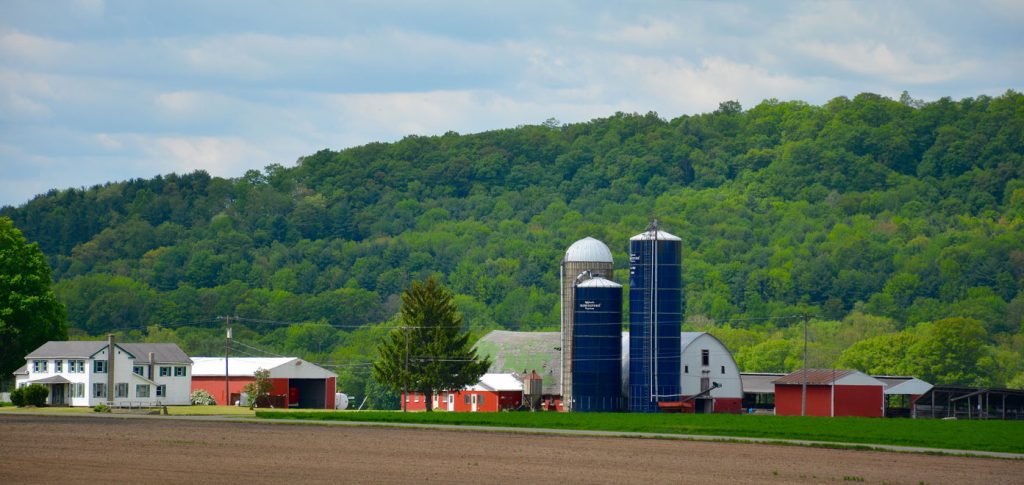 Trex Decks in Tioga County